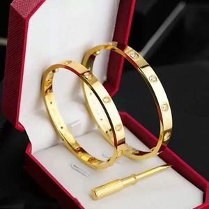 designer armband designer sieraden gouden armband luxe mode roestvrij staal zilver roos manchetslot 4CZ diamant voor dames vrouw Algs