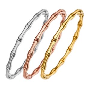 Pulsera de diseño Europa y América exportan pulseras altas de tres colores con cierres modernos, sensación creativa y pulseras sólidas de bambú para mujer con pulseras creativas.