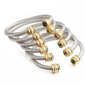 Designer armband voor dames heren mode luxe sieraden armbanden titanium staal gedraaide draad armbanden diamanten armbanden nagelarmbanden voor dames