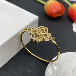 Bracelet de créateur de luxe pour femmes, design de couleur unie, mode vintage, cent bracelets de corps dur, cadeau de noël, bijoux en option, boîte cadeau bon