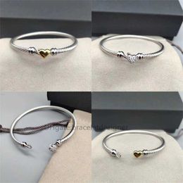 Bracelets de créateurs bijoux mode haute qualité Bracelet classique câble intemporel 3mm ligne d'amour argent or Match quotidien