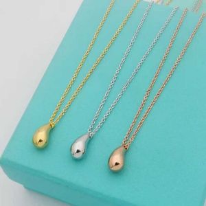 Designer Brand Tiffays Bull Horn Temperament Water Drop Necklace Dames Mode Elegantie en Simplicity Collarbone Chain Creative Art Jewelry Trend