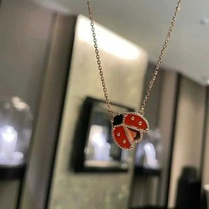 Marcos de la marca de diseñador Van Ladybug Glod Plate de 18k Rose Rojo Jade Clover Valentín Día de regalo Cadena de clavículas para mujeres