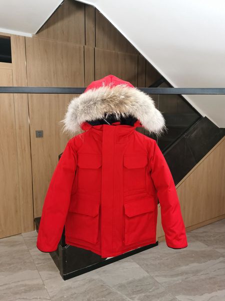 Diseñador Canadiense Chaqueta para niños Abrigo Chaquetas de invierno Niños Gansos sólidos Abajo Grueso Cálido Paño lujoso con piel Parkas con capucha Bebé 590 s