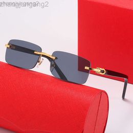 Diseñador Carti Gafas de sol Catier Nueva Kajia Caja pequeña Placa sin marco Mujer Hombre Moda Personalidad Jelly Lente óptica