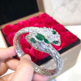 Designer Collectie Luxe Stijl Armband Instellingen Groene Tsjechische Zirkoon Volledige Diamant Dubbele Slang Serpent Slangachtige Elastische Bangle