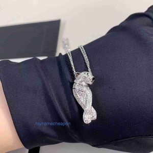 Diseñador croitrres nacklace set simple colgante de leopardo diamante collar de leopardo s925 plata esterlina cadena de clavícula de doble capa hecha