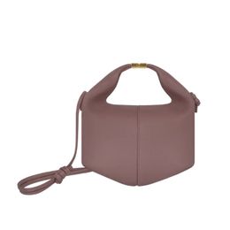 Designer Cross Body Handtas Polen Frans Paris Women Saddle oksel Schouder Handtassen Leer Cowhide Hobo Bags Portemones Dames koppeling Beri Toes Bento Buns