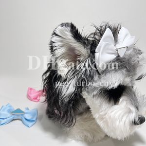 Designer Dog Bow Hair Clip Triangle Brand Cat Chog Coils Clips French Bowknot pour Schnauzer Teddy Bichon chiot accessoires de cheveux mignons