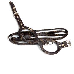 Diseñador correa de cofre de perro VEST Summer Leather Brown Logotipo clásico Traction Rope Pet Fadou Corgi Teddy Cat Dog Rope Strap Set correas
