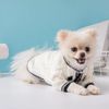 Designer Dog Vêtements Brands pour chiens Pull Pet Wimp Pet With Classic Brooch pour petits chiens moyens Cat Costumes Costumes de chiot doux Automne d'hiver Abands de compagnies White XS A448