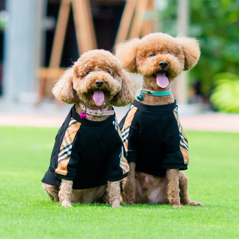 Tasarımcı Köpek Giysileri Tasarımcı Köpek Hoodies Köpek Alt kat iç çamaşırı küçük köpek evcil hayvan tasarım giyim