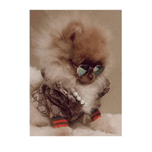 Ropa para perros de diseñador Abrigo para perros Chaqueta de abrigo para mascotas de moda Otoño / Invierno Sudadera con capucha para perros