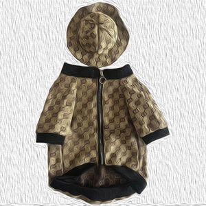 Vêtements de créateur pour chiens, vêtements chauds pour chiens, motif de lettres classique, veste de luxe pour chiens, sweat à capuche chaud pour temps froid, manteaux doux pour animaux de compagnie pour petits chiens CSG2401024-8