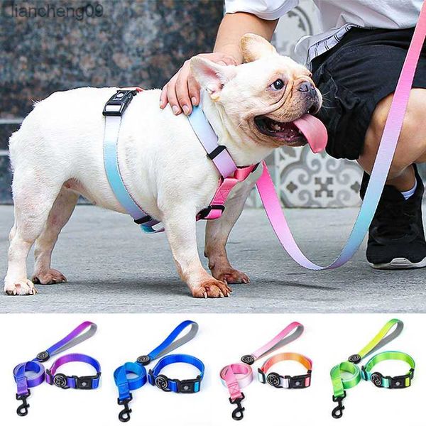 Diseñador Collar de perro Correa Arnés Moda Gradiente Color del arco iris Productos para mascotas Cadena Perro pequeño Mediano Grande Ajuste Primavera Verano L230620