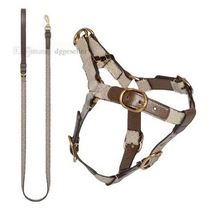 Ensemble de laisse de collier pour chien de créateur Harnais pour chien sans traction, facile à installer Harnais pour animal de compagnie réglable Harnais en cuir confortable et léger pour la marche ou l'entraînement de petits chiens