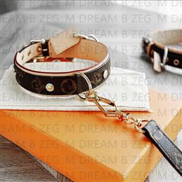 Designer Dog Collar Laisses Set Classic Old Flower Pattern Soft Colliers de chien à la mode réglables en cuir PU pour petits chiens de taille moyenne Cat279H