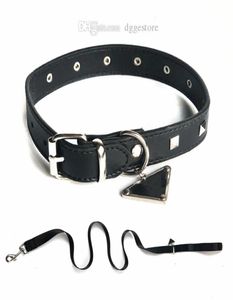 Ensemble de laisses de collier de chien de créateur avec étiquette en métal triangulaire inversé colliers pour animaux de compagnie en cuir classique pour petits chiens de taille moyenne bouledogue P8414771