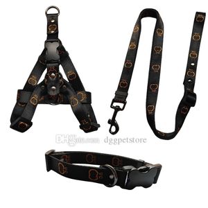 Ensemble colliers et laisse pour chien de créateur Harnais pour chien sans traction avec marche en nylon réglable dans un gilet pour chiot de petite, moyenne et grande taille avec lettre brodée pour l'extérieur, marche facile XL B175