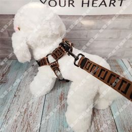 Designer Halsbanden Riemen Set Mode Letter Hondenriem Luxe Merk Hondenlijn Mode Casual Verstelbaar Trekkoord