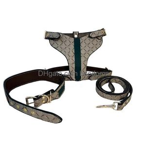 Arnés para perros de diseño Collares para mascotas fuertes y duraderos con patrón de letras clásico Chaleco de cuero grande y resistente para Boxer Pitbl Rottweiler Dhrij