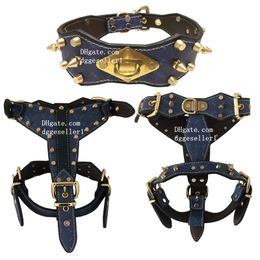 Designer hondentuiglijn set lederen puntige bezaaid medium grote halsbanden, harnassen riemen 3-delige bijpassende set voor Pit Bull, Mastiff, Boxer, Bull Terrier blauw L B206
