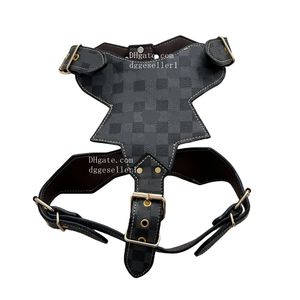 Faire du harnais de chiens de créateur Définir sans harnais de chien de traction avec motif de lettre classique Herness en cuir réglable durable pour les grands chiens Bulldog Terrier Pitbull XL B221