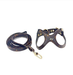 Ensemble de laisses de harnais pour chien de créateur Harnais de ventilation classiques en cuir souple pour chiot