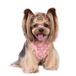 Arnés de diseño de diseñador Arnés Conjunto de correas con letras clásicas de Jacquard Pingo de aire de aire: todo clima Paso de malla en el arnés para perros pequeños por los mejores suministros de mascotas Pink B89