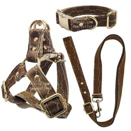 Designer Dogs Colliers LEASH Set Léchardage Étape dans le harnais de chien, réglable et sécurisé avec des boucles en métal, un harnais de chien facile à promenade pour le chiot, les petits, moyens et grands chiens B214