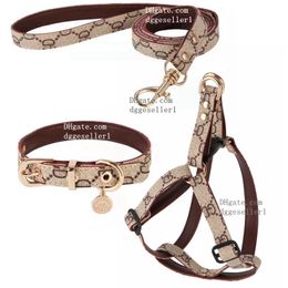 Collier de harnais de chiens de créateurs Ensemble de laisse luxueux col de chiot avec charme en métal No Pull Dog Harness Soft Adjustable Pu Leather Step in Puppy Gile Outdoor Walking S B36