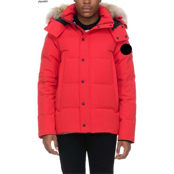 Diseñador abajo chaqueta de lujo de alta calidad para hombre abrigos de invierno para mujer parka abrigo chaquetas de marca a prueba de viento bordado streetwear outwear