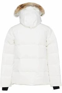 Diseñador abajo chaqueta de lujo para hombre abrigos de invierno para mujer parka abrigo chaqueta acolchada a prueba de viento bordado al por mayor streetwear alta calidad causal outwear