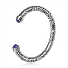 Designer DY Armband Luxe Top synthetische lapis lazuli armband kabel gedraaide draad populaire armband Accessoires sieraden mode Romantische Valentijnsdag geschenken