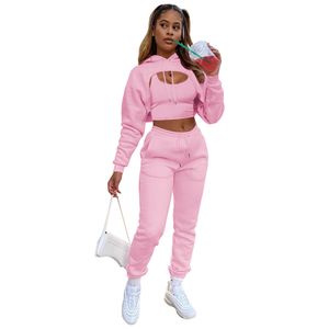 Designer Automne Hiver Survêtements Polaire 3 Pièces Ensembles Femmes À Manches Longues Sweatsuits Casual Sweat À Capuche Gilet Et Pantalon Assorti Ensemble Costumes De Sport Solide Sportswear