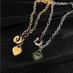 Designer Fashion Necklace Choker Chain Sier Gold Ploated roestvrijstalen letterkettingen voor vrouwen sieradencadeau
