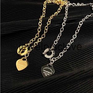 Designer Fashion Necklace Choker Chain Sier Gold Ploated roestvrijstalen letterkettingen voor vrouwen sieradencadeau