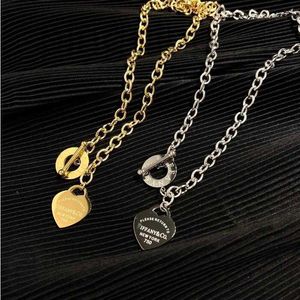 Designer Fashion Necklace Choker Chain Sier Gold Ploated roestvrijstalen letterkettingen voor vrouwen sieradencadeau