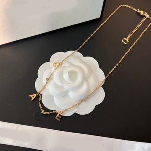 Designer Fashion Necklace Choker Chain Sier Gold Golde roestvrijstalen brief Hangkettingen voor vrouwen sieraden