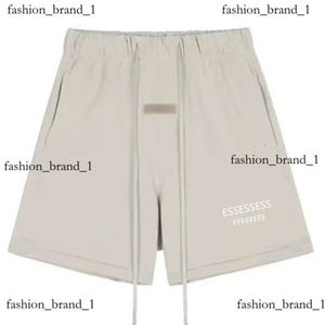 Designer pour les vêtements essentiels de vêtements pour femmes shorts décontrus