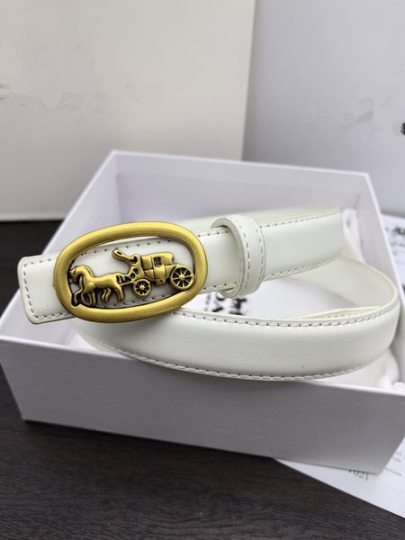 Diseñador Cinturones de cuero genuino para mujeres y hombres, oro de lujo y plateado C Buckle Fashion Wistand Cinta Ceinture Cinturón de damas 2.5cm