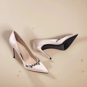 Vrouwontwerper Heel Dress Shoes Luxury Hoge Heel Designer schoenen 6 cm 8 cm 10 cm 12 cm schoenronde puntige tenen pompen bruiloftsklasse mode