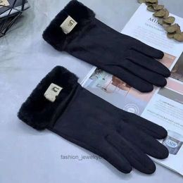 Gants imperméables en peluche de haute qualité pour hommes et femmes Veet Laine de mouton Lady Cinq doigts Mitaines Design Gants pour femmes Hiver