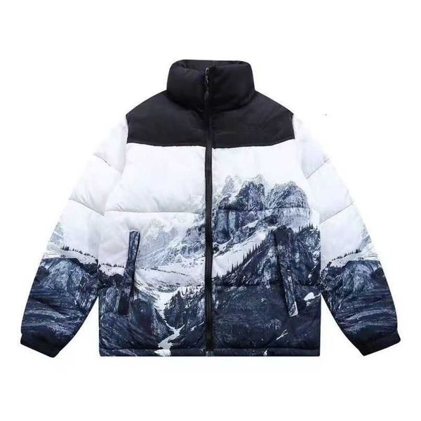 Designer High Street Fashion Northern Winter Outdoor Down Jacket Lettre de coton pur brodé hommes et femmes portent des vêtements chauds Oln7