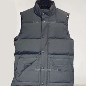 Designer veste hommes hommes veste veste d'hiver Designer à capuche mat gilet vestes hommes styliste manteau hiver veste vêtements d'extérieur pour homme taille S-XXL col montant vers le bas