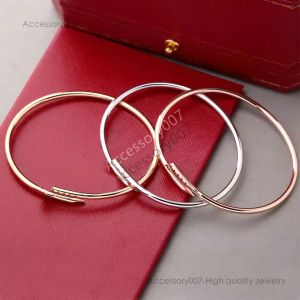 designer bijoux braceletDesigner 3mm Nouveau Diluant Nail Mode Unisexe Manchette Bracelet Couple Or Titane Acier Bracelet Bijoux Saint Valentin Cadeau