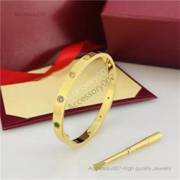 designer sieraden armband dames heren armband zilver goud roos ontwerper eenvoudige mode gesp paar armbanden cadeau Pasen Kerstmis unisex feest heren dames armbanden