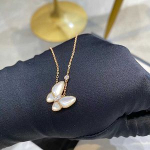 Designer sieraden luxe Vanca Accessories v Gold Precision White Butterfly ketting voor vrouwen 18K Rose Gold Lock Bone Chain Fashion eenvoudige ketting