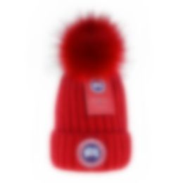 Designer tricoté chapeau populaire Canada hiver classique lettre oie broderie casquettes mode rue chapeaux A-16
