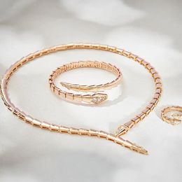 Designer Luxe Diner Sieraden Sets Vrouwen Lady Inlay Kubieke Zirkoon Snake Slangachtige Smalle Kraag Ketting Bangle Armband Ring 240228